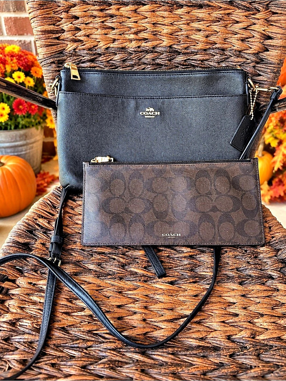 Coach Black & Brown Crossbody Bag